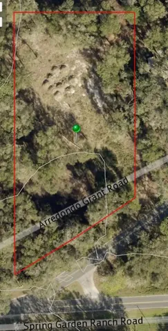 1215 Arredondo Grant Road De Leon Springs FL 32130