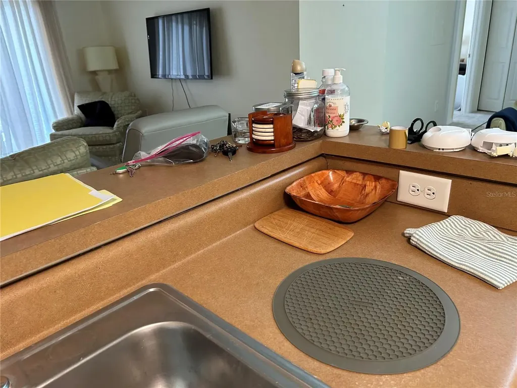 9481 Highland Oak Drive Tampa FL 33647