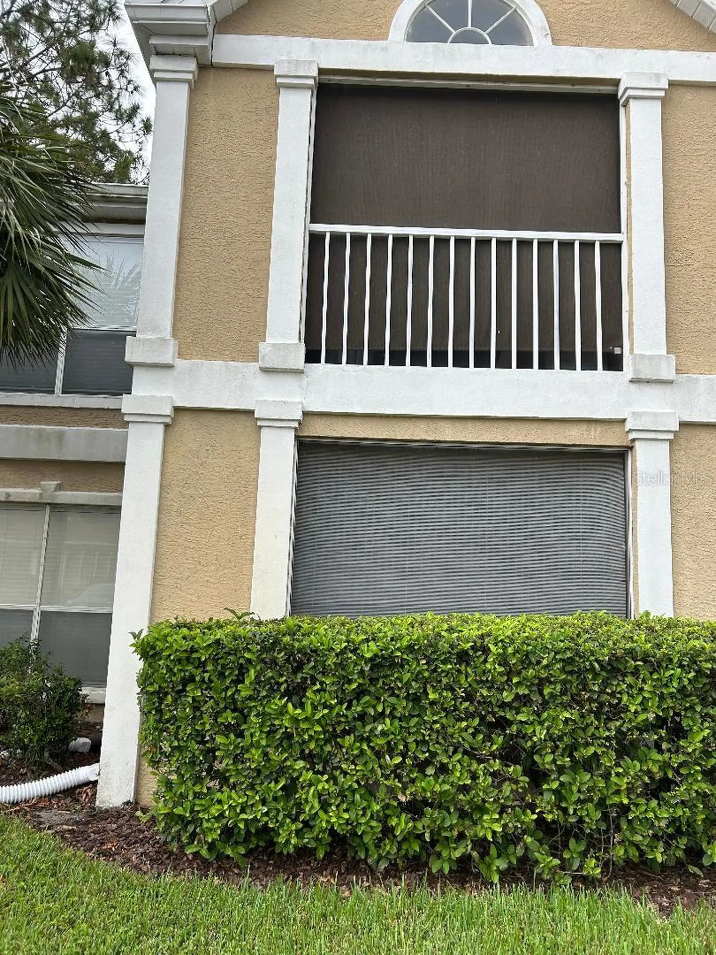 9481 Highland Oak Drive Tampa FL 33647