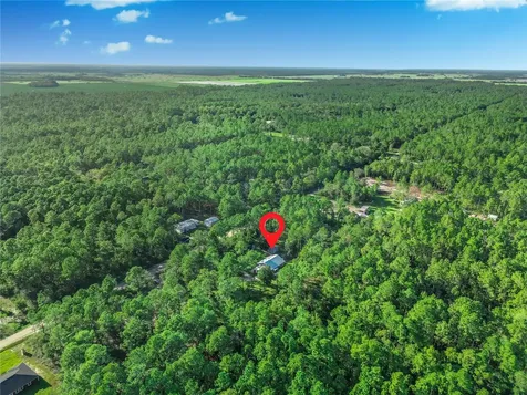10670 Carpenter Avenue Hastings FL 32145