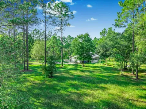 10670 Carpenter Avenue Hastings FL 32145