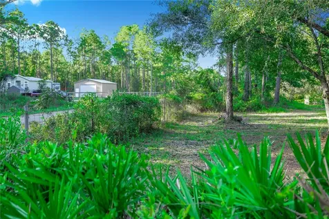 10670 Carpenter Avenue Hastings FL 32145