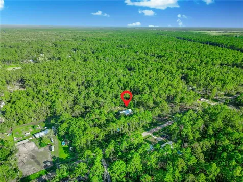 10670 Carpenter Avenue Hastings FL 32145