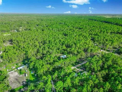 10670 Carpenter Avenue Hastings FL 32145