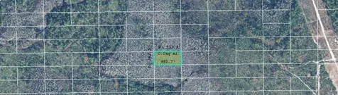Dill Road Orlando FL 32820