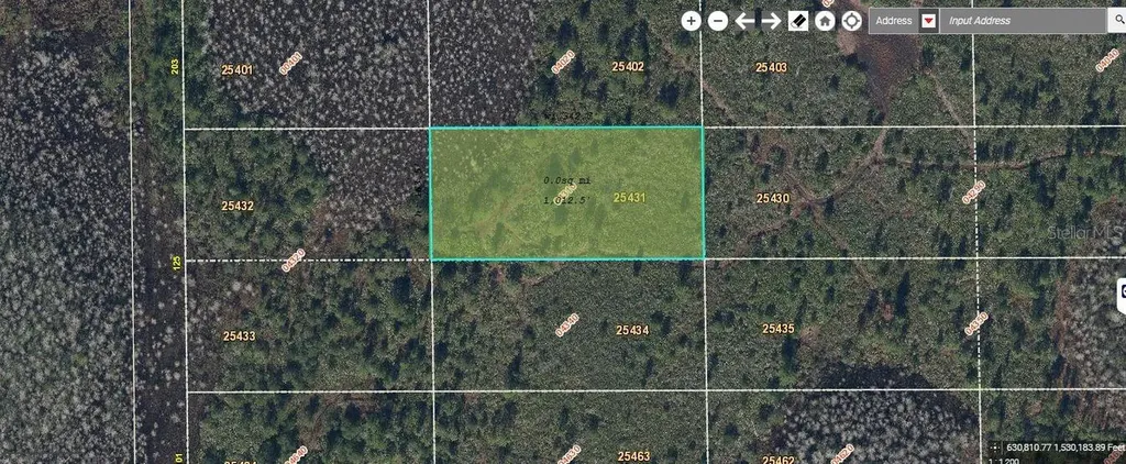 Dill Road Orlando FL 32820