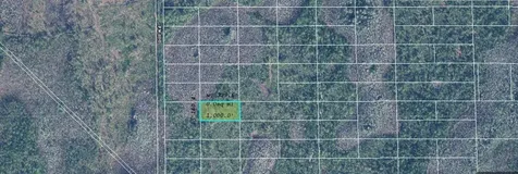 Dill Road Orlando FL 32820