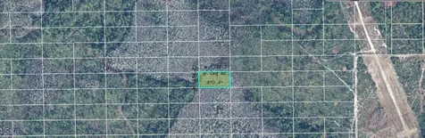 Dill Road Orlando FL 32820