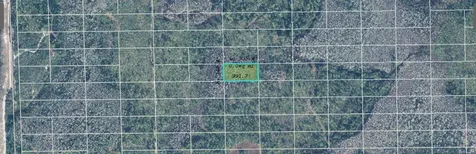 Dill Road Orlando FL 32820