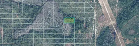Dill Road Orlando FL 32820
