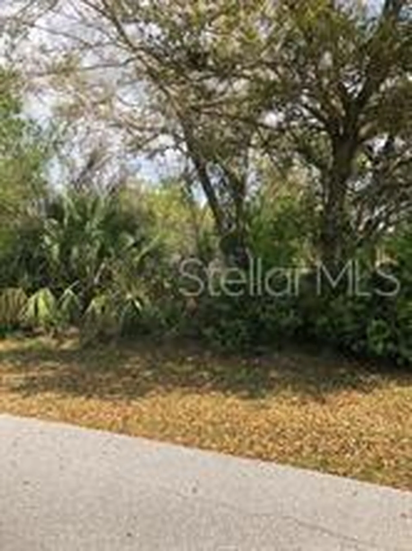 6368 Brookridge Street Englewood FL 34224