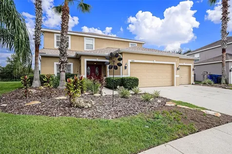 5806 Candytuft Place Land O Lakes FL 34639