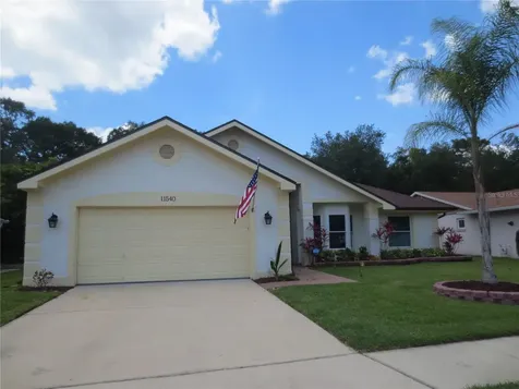 11540 Sandy Hill Drive Orlando FL 32821