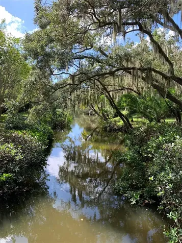 Sarasota FL 34231
