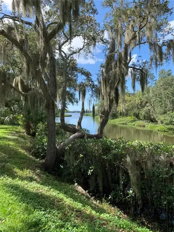 Sarasota FL 34231