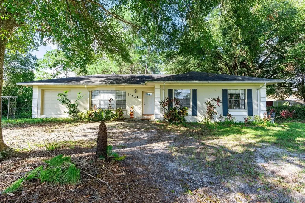 30929 Eloian Drive Wesley Chapel FL 33545