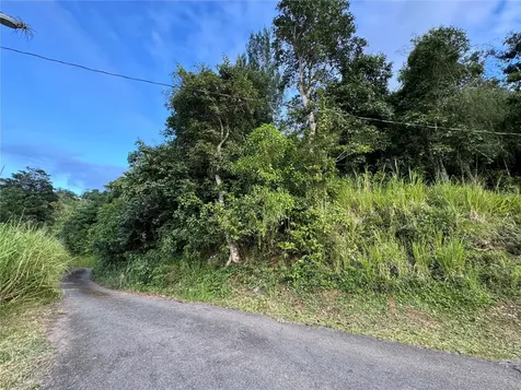 Pr 173 Km 5.9 Barrio Salto, Int. Cidra PR 00739