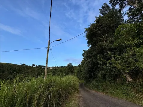 Pr 173 Km 5.9 Barrio Salto, Int. Cidra PR 00739