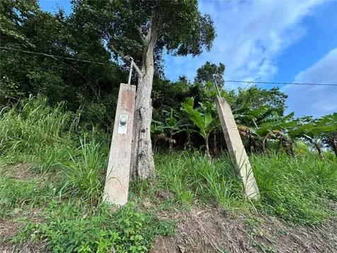 Pr 173 Km 5.9 Barrio Salto, Int. Cidra PR 00739