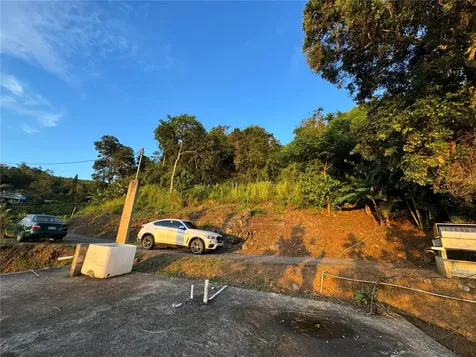 Pr 173 Km 5.9 Barrio Salto, Int. Cidra PR 00739