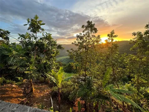 Pr 173 Km 5.9 Barrio Salto, Int. Cidra PR 00739