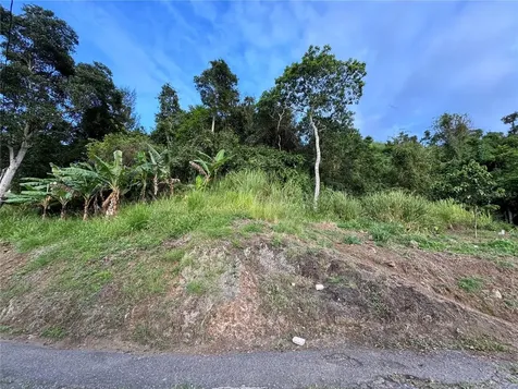 Pr 173 Km 5.9 Barrio Salto, Int. Cidra PR 00739