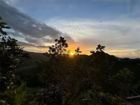 Pr 173 Km 5.9 Barrio Salto, Int. Cidra PR 00739