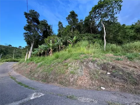 Pr 173 Km 5.9 Barrio Salto, Int. Cidra PR 00739