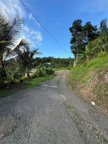 Pr 173 Km 5.9 Barrio Salto, Int. Cidra PR 00739