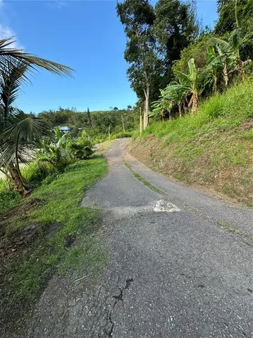 Pr 173 Km 5.9 Barrio Salto, Int. Cidra PR 00739