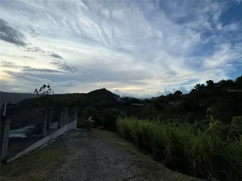 Pr 173 Km 5.9 Barrio Salto, Int. Cidra PR 00739