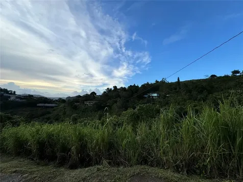 Pr 173 Km 5.9 Barrio Salto, Int. Cidra PR 00739