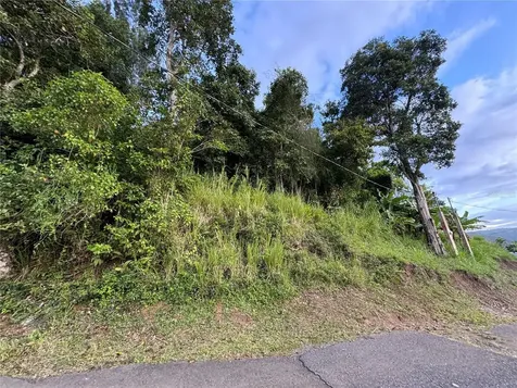 Pr 173 Km 5.9 Barrio Salto, Int. Cidra PR 00739