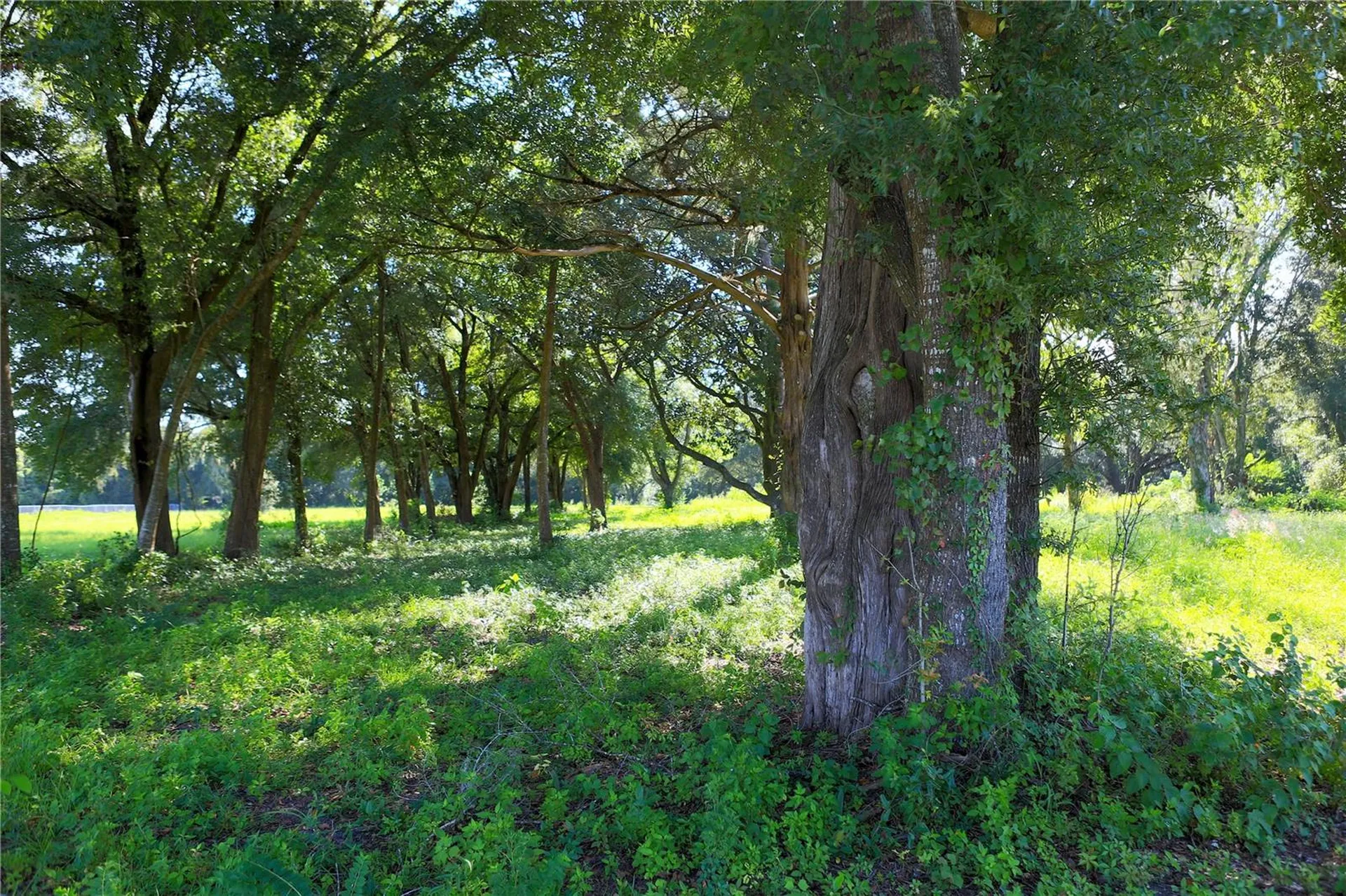 3717 NW 44th Avenue Ocala FL 34482