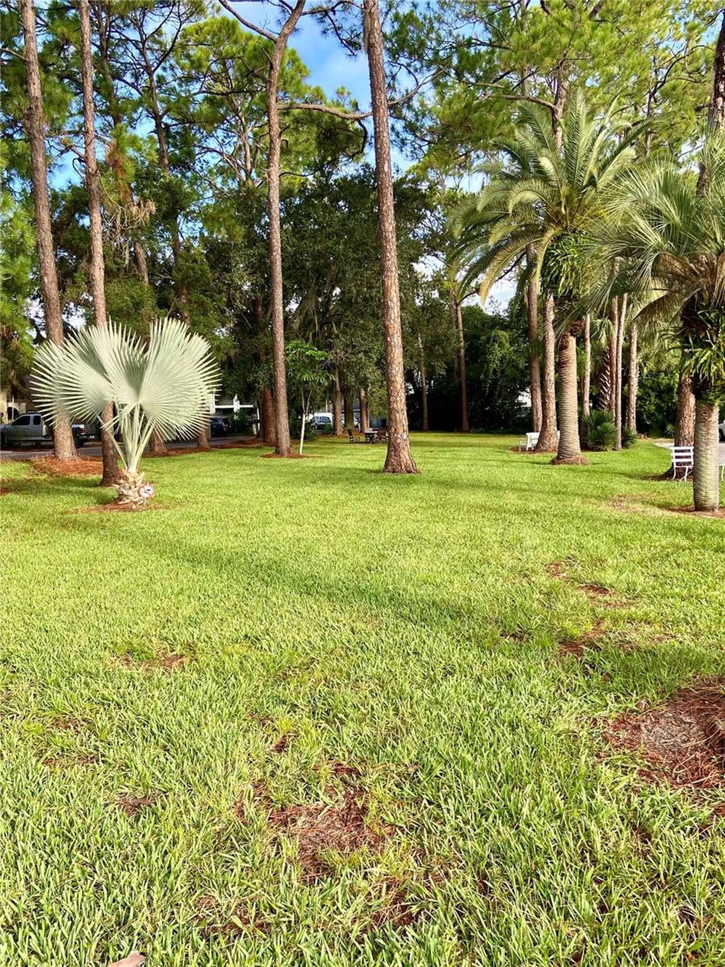 1100 Martinique Drive Winter Haven FL 33884