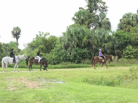 Lot A Burhans Road Eustis FL 32736