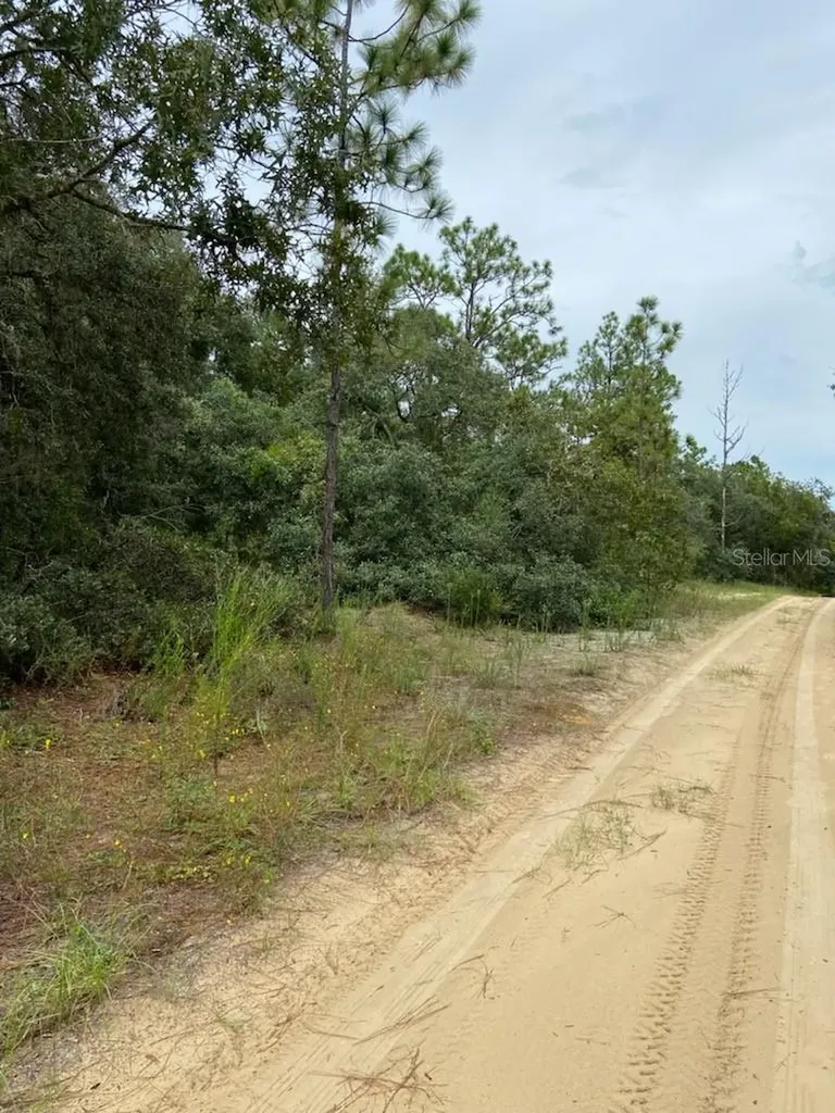 318 S Crestview Avenue Inverness FL 34452