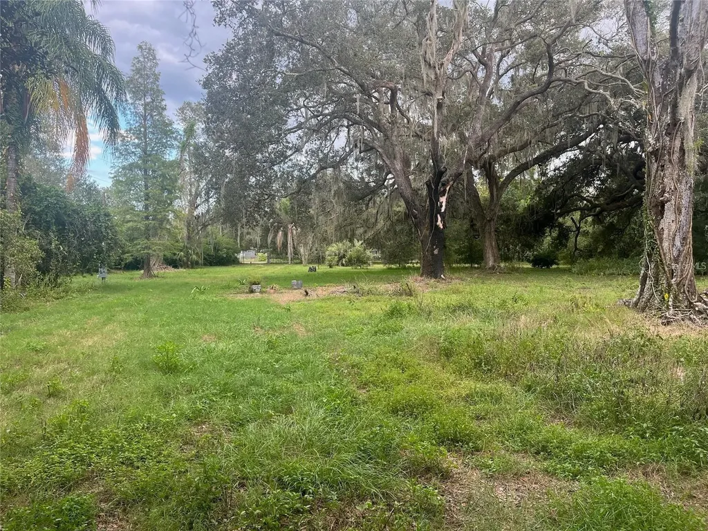 4023 Lado Drive Wesley Chapel FL 33543