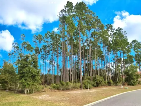 85144 Napeague Drive Fernandina Beach FL 32034