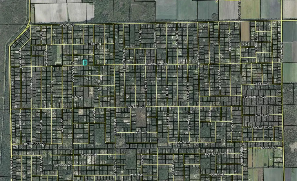 5814 Mahogany Boulevard Bunnell FL 32110