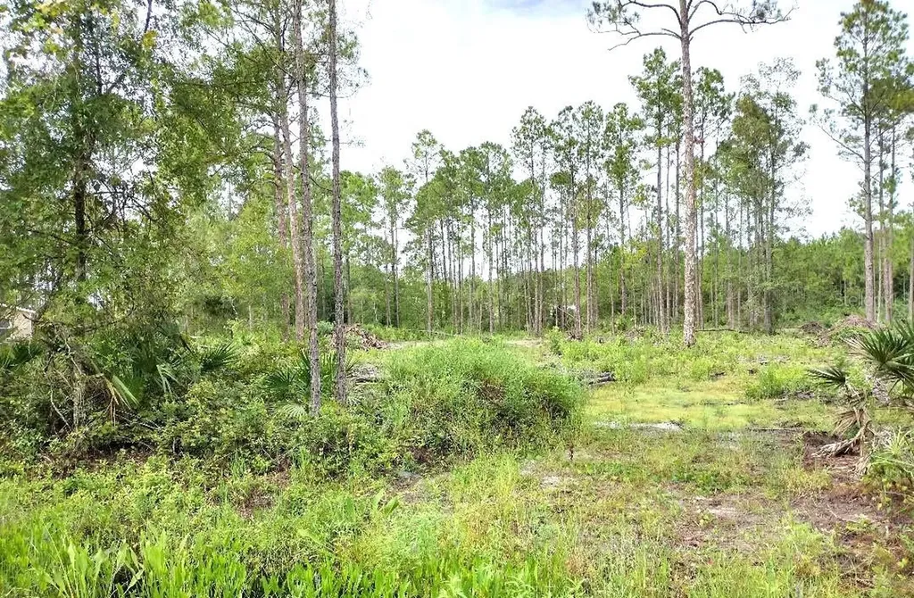 5814 Mahogany Boulevard Bunnell FL 32110