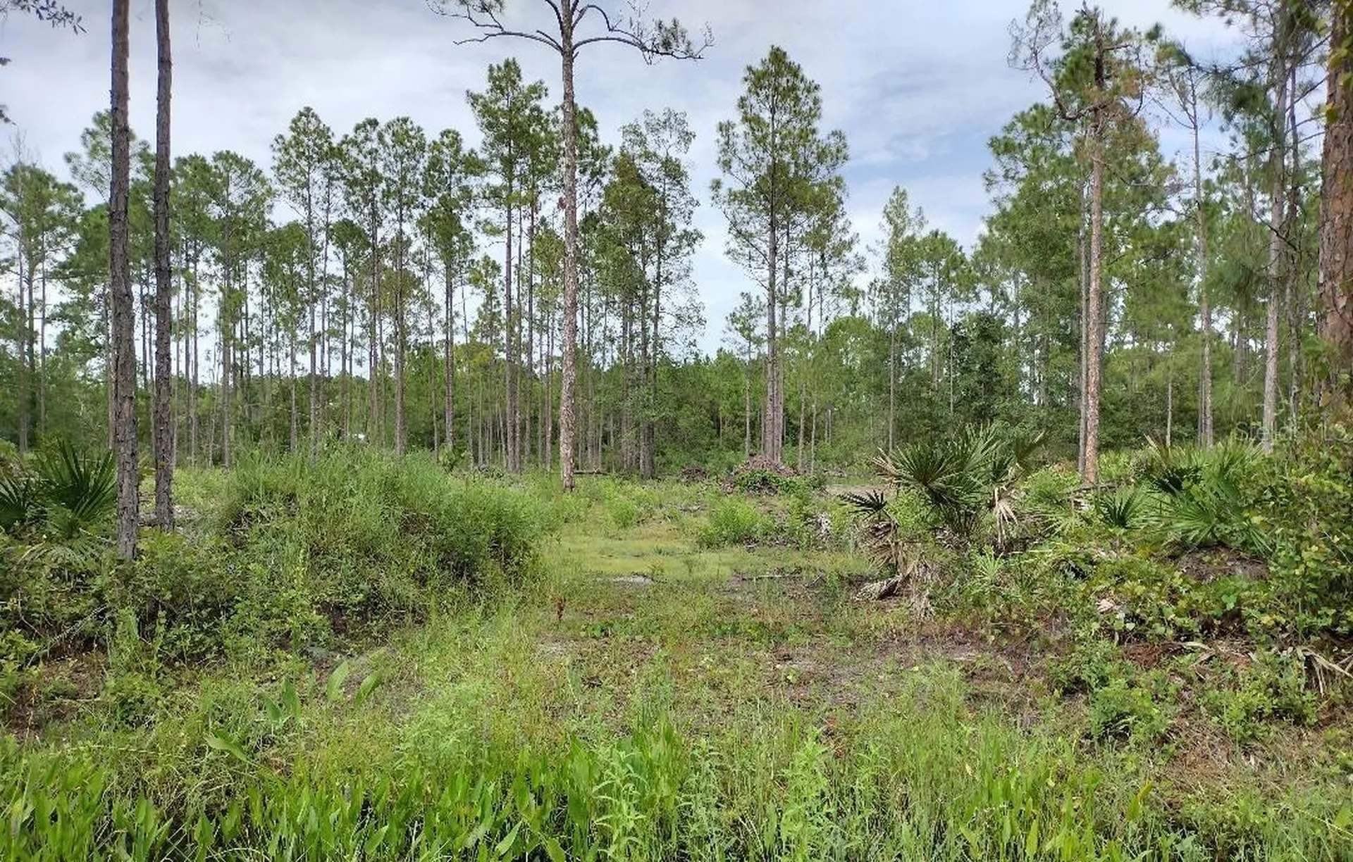 5814 Mahogany Boulevard Bunnell FL 32110