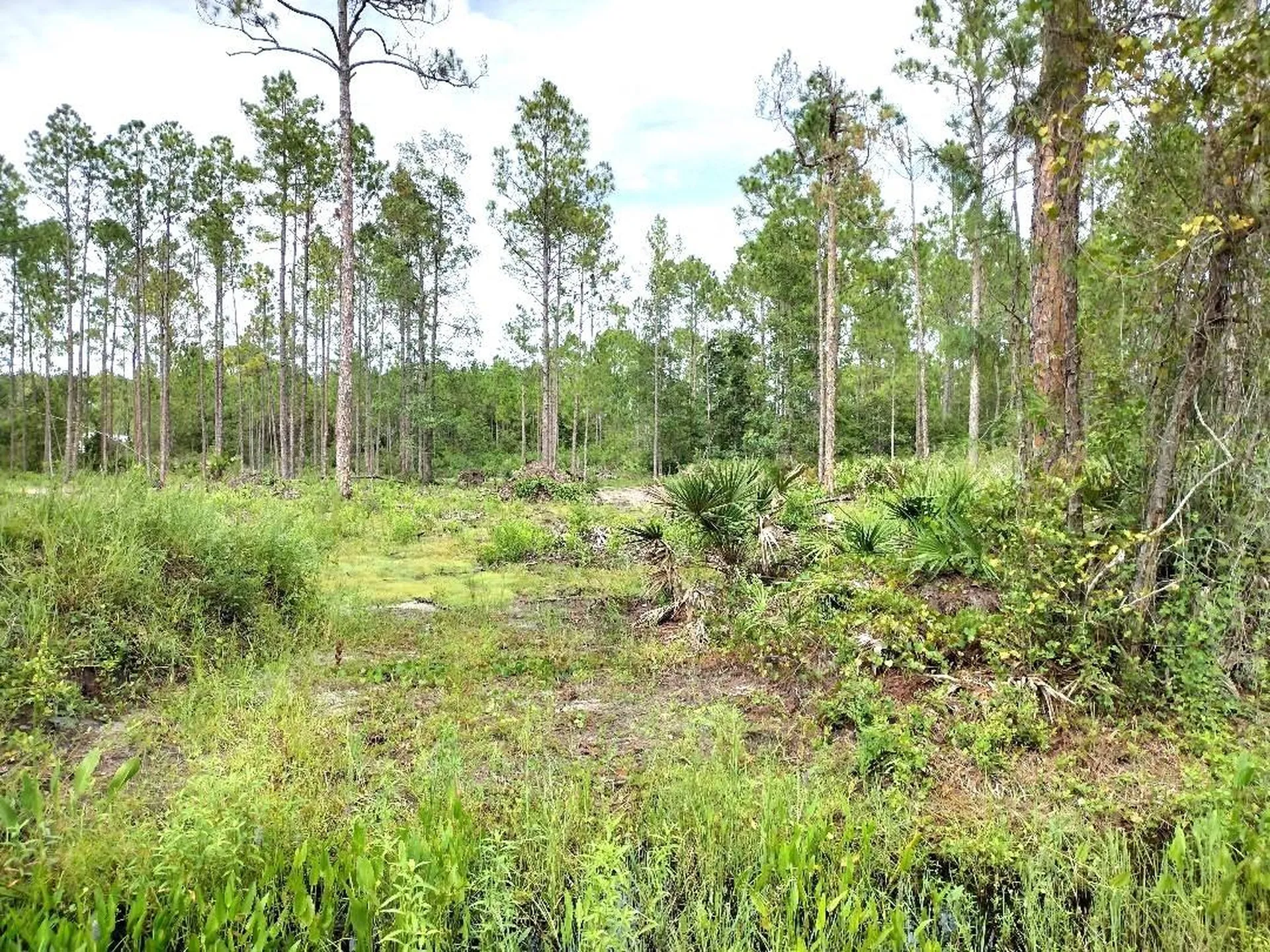 5814 Mahogany Boulevard Bunnell FL 32110