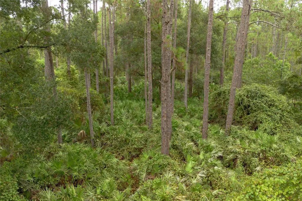 12TH Avenue Deland FL 32724