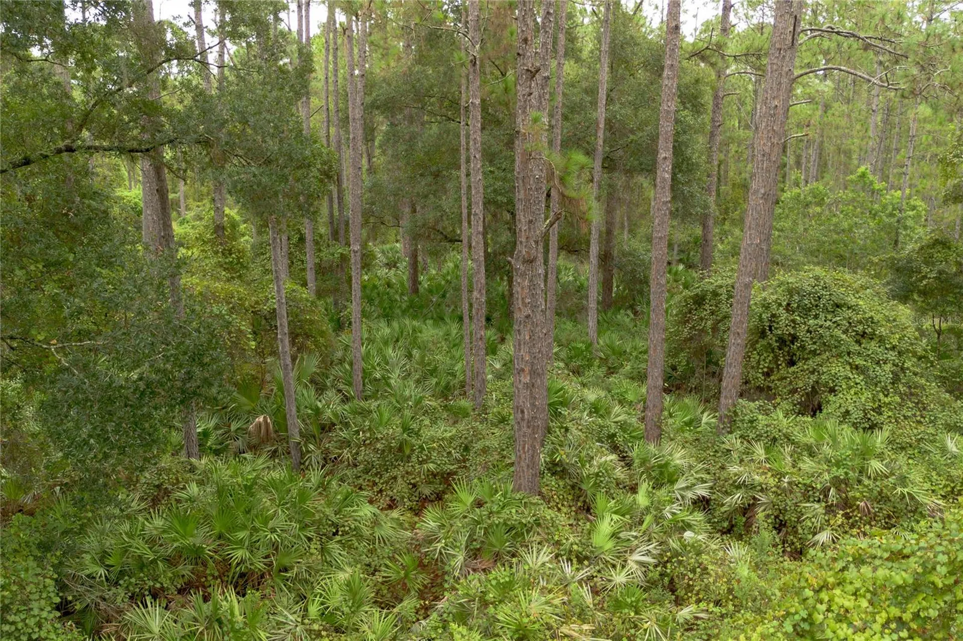 12TH Avenue Deland FL 32724