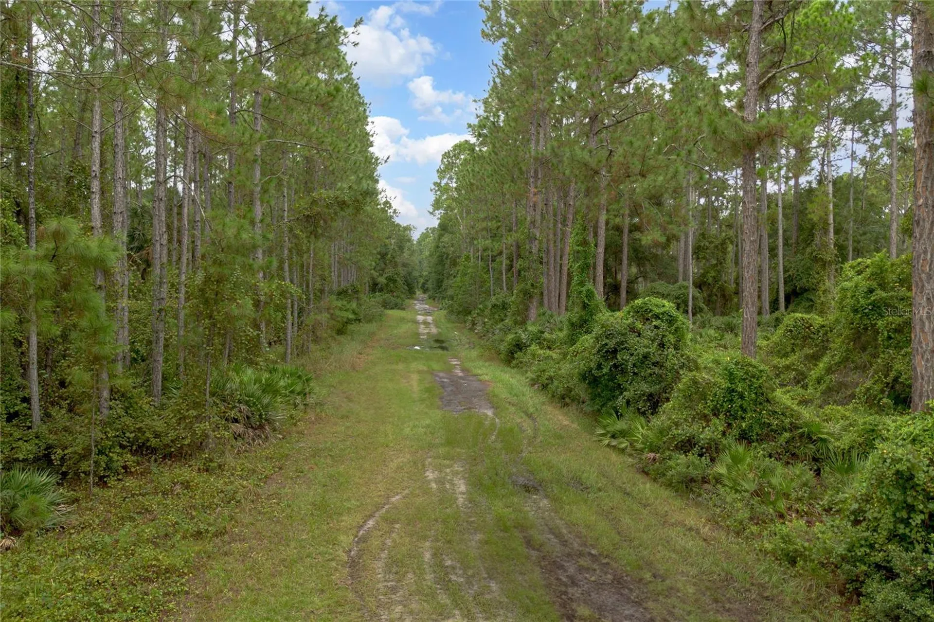 12TH Avenue Deland FL 32724