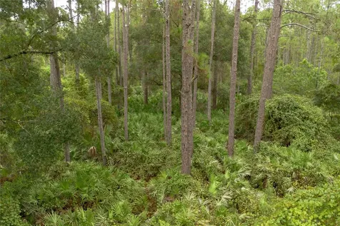 12TH Avenue Deland FL 32724