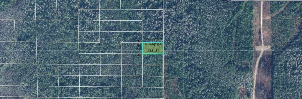 Dill Road Orlando FL 32820