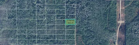 Dill Road Orlando FL 32820
