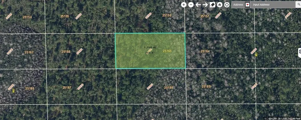 Dill Road Orlando FL 32820
